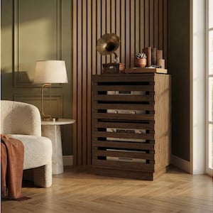 May include: A dark brown wooden media cabinet with horizontal slats, featuring four open shelves containing silver electronic components. The cabinet is topped with a small vintage-style gramophone, a potted succulent, and several books.