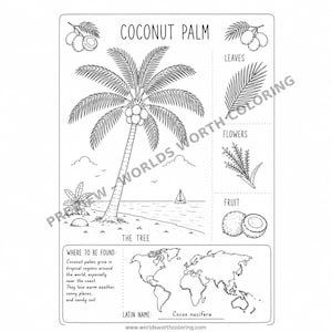 May include: A black and white educational coloring page titled COCONUT PALM. It features a central illustration of a palm tree on a beach, with smaller diagrams labeled LEAVES, FLOWERS, and FRUIT. Includes a world map and text about habitats.