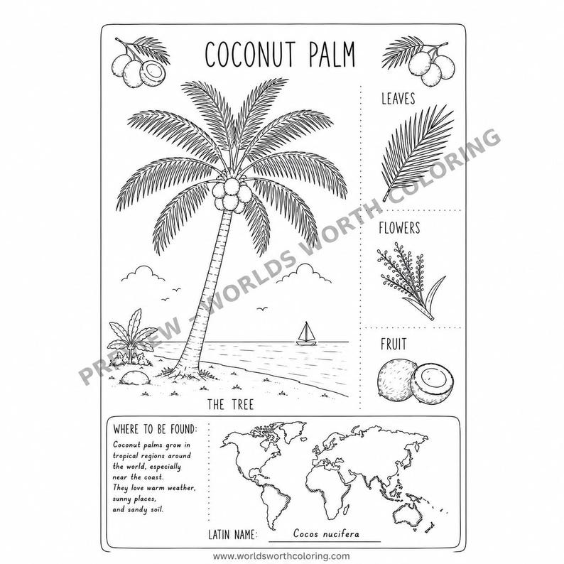 May include: A black and white educational coloring page titled COCONUT PALM. It features a central illustration of a palm tree on a beach, with smaller diagrams labeled LEAVES, FLOWERS, and FRUIT. Includes a world map and text about habitats.