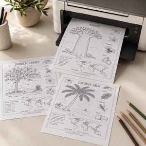 May include: Three white sheets of paper with black and white botanical illustrations of a baobab, a Japanese cherry tree, and a coconut palm. Each sheet includes a tree drawing, leaf, flower, and fruit details, a world map, and descriptive text.