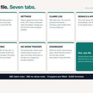 Therapist Insurance Claim Denial Tracker Spreadsheet, Private Practice A/R Aging & Appeal Deadline Dashboard, Google Sheets Excel Template image 5