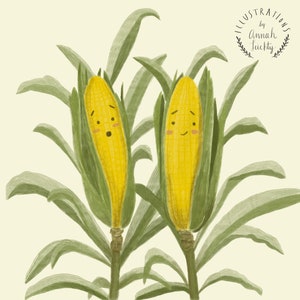 Corn on the Cob