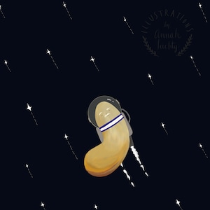Astro Nut