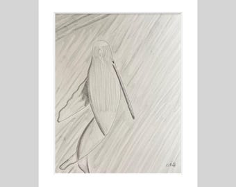 Original Whale Graphite Drawing, White Mat Framed Art (8x10)