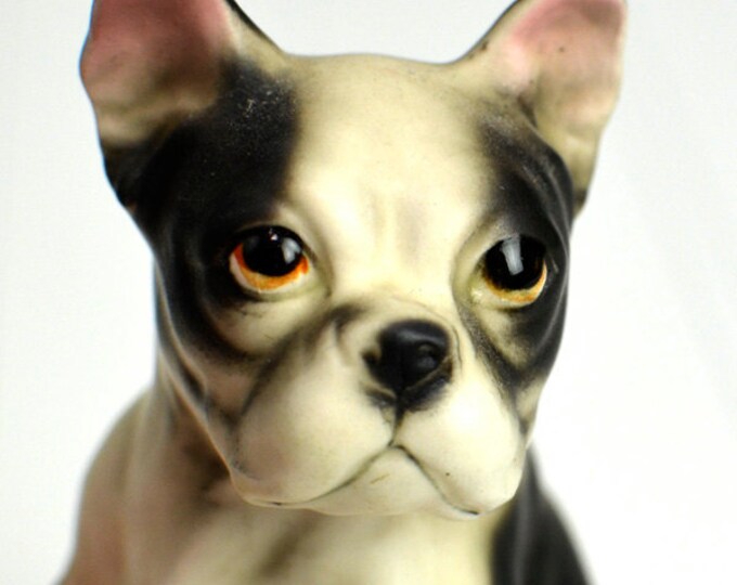 Boston Terrier Dog Figurine Painted Ceramic Statue With Etsy