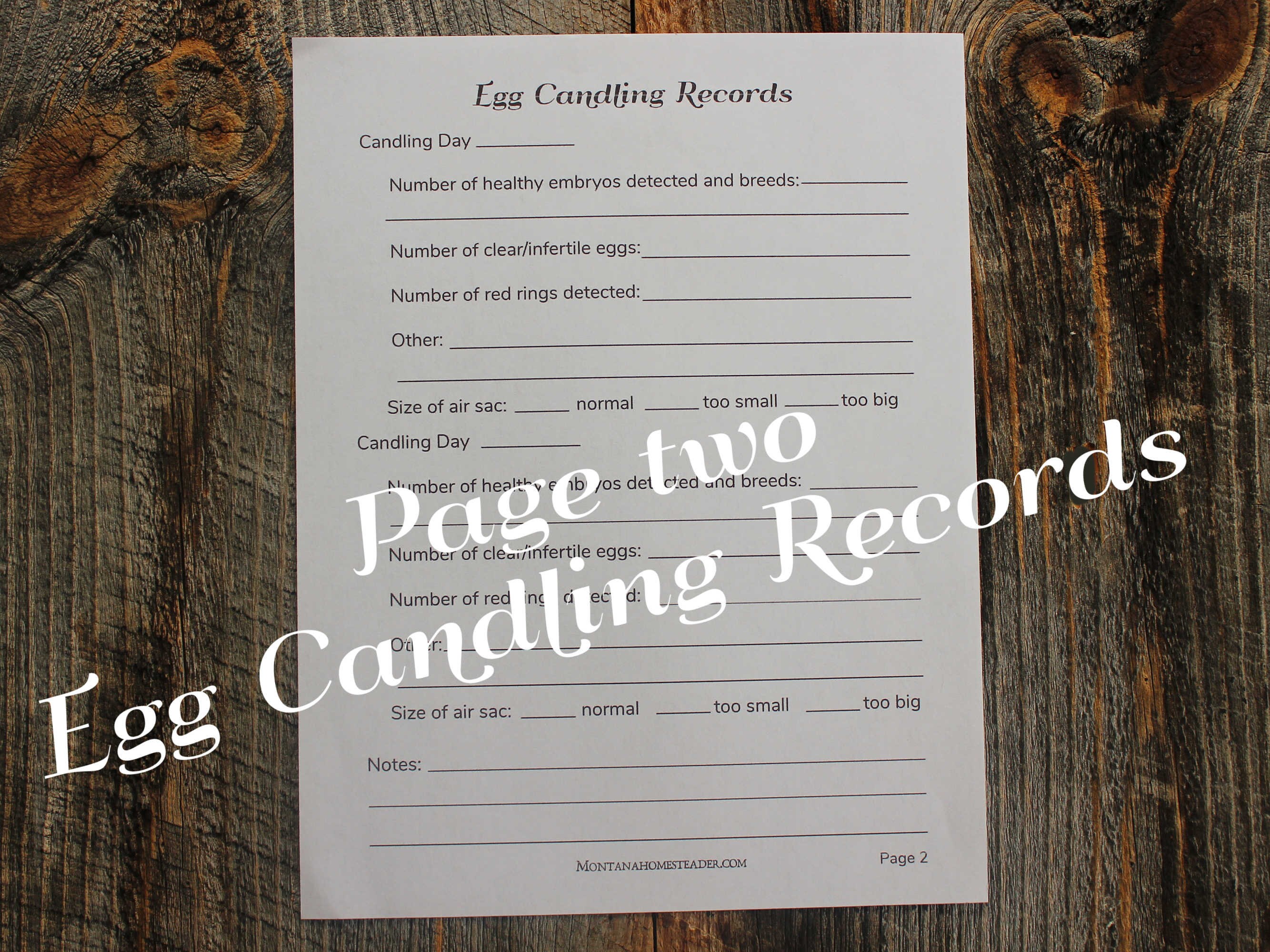 Hatching Record Chicken Egg Incubation Records Printable Forms Printer Friendly PDF ...