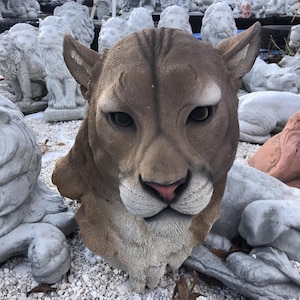 May include: A brown, sculpted mountain lion head bust featuring detailed fur texture, pointed ears, dark eyes, and a pinkish nose. The sculpture is rendered in a realistic style with defined facial features, including whiskers and a textured chest area.