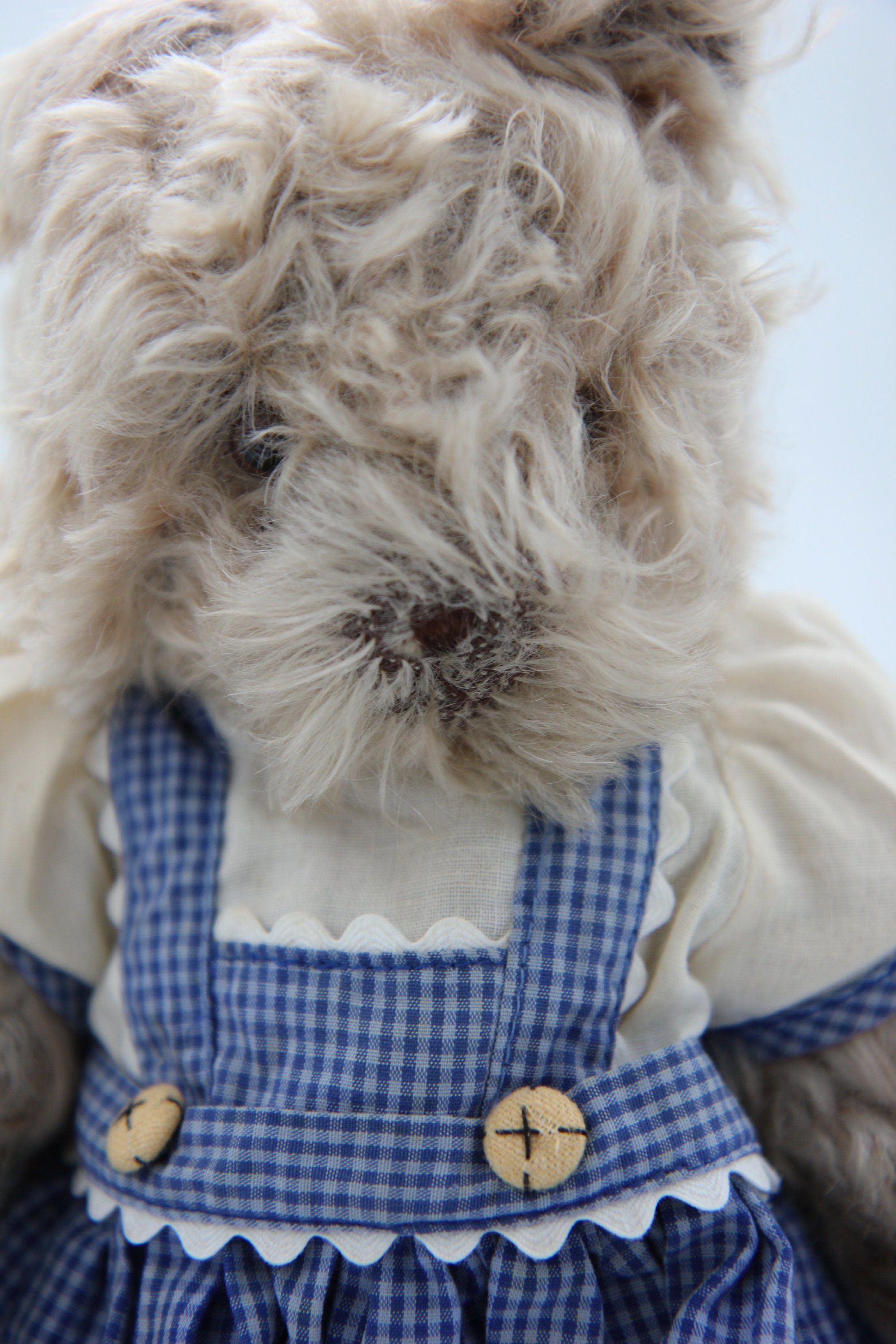 Vintage Bunnies By The Bay - 50otjjn