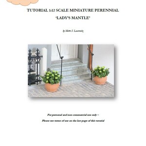 May include: A miniature tutorial for creating a 1:12 scale 'Lady's Mantle' perennial plant. The image shows a close-up of two miniature potted plants with green leaves and brown pots, placed on a stone walkway.