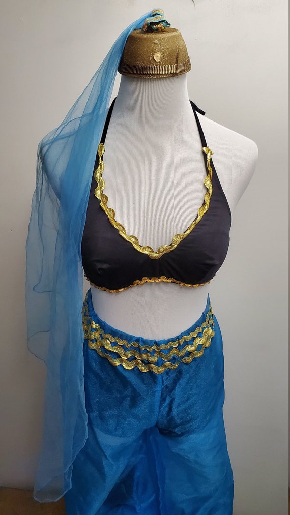 Vintage Woman's Jasmine/ Belly Dancer Costume- Lady V… - Gem