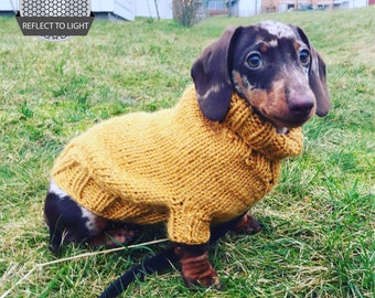 Dog coat / sweater in reflective yarn