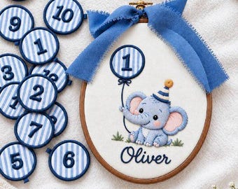 Personalized Baby Elephant Birthday Embroidery Hoop, Custom Name Milestone Tracker, First Birthday Gift, Nursery Decor, Baby Boy Keepsake