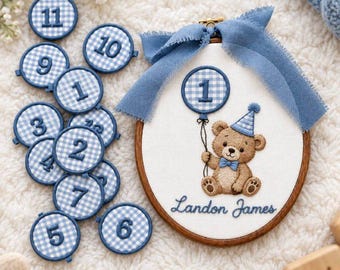 Personalized Baby Milestone Embroidery Hoop, Bear Monthly Milestone Numbers, Custom Baby Name Hoop, First Birthday Gift, Baby Nursery Decor