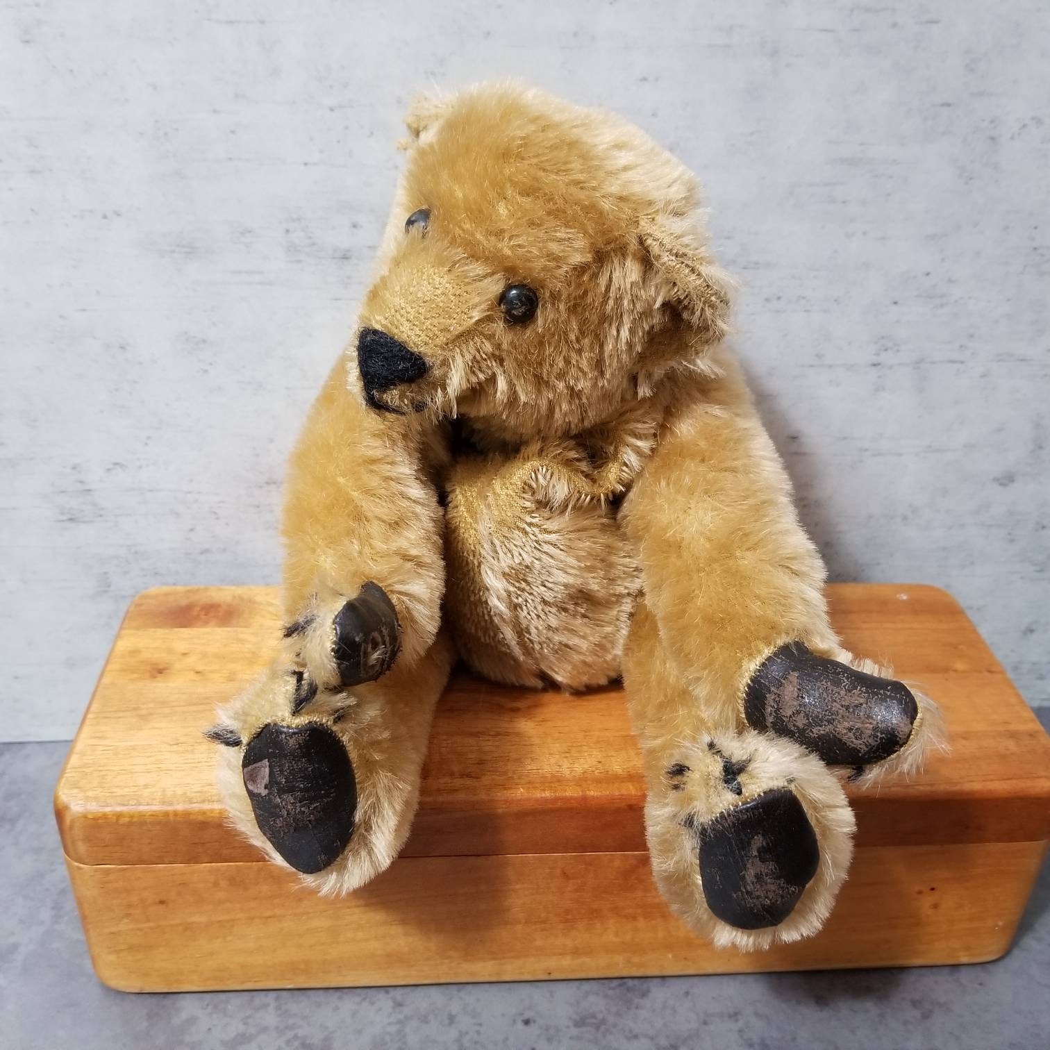 Wonderful Antique Mohair Teddy Bear with Shoebutton Eyes 17