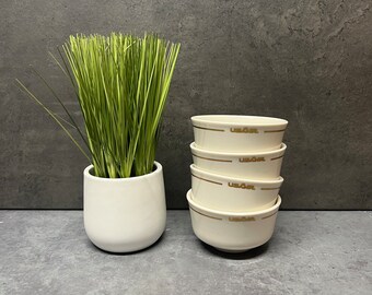 USAIR 8 Ounce Bowls by Mayer China - Set of 4