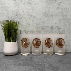 May include: Set of four frosted glass tumblers with gold nautilus shell designs. The glasses are clear and have a frosted finish.