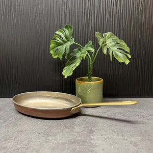 May include: A copper frying pan with a wooden handle sits on a gray countertop. A potted plant with green leaves is in the background.