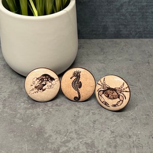 May include: Three round wooden knobs with a beige background and black sea life designs. The knobs feature a seahorse, a crab, and a jellyfish.