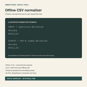 Offline CSV Cleaner Python CLI Preserve Text Values No Upload