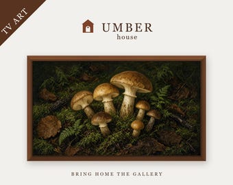 Moody Mushroom Forest Floor Frame TV Art, Fungal Botanical Screensaver (Digital Download)