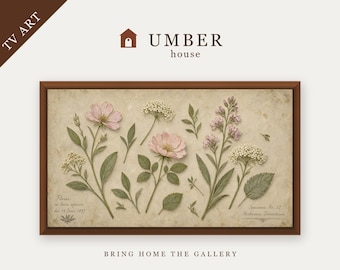 Antique Herbarium Botanical Frame TV Art, Pressed Wildflower Painting Screensaver, Apothecary Decor (Digital Download)