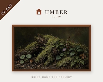 Root and Moss Still Life Frame TV Art, Botanical Study Naturalist Decor (Digital Download)