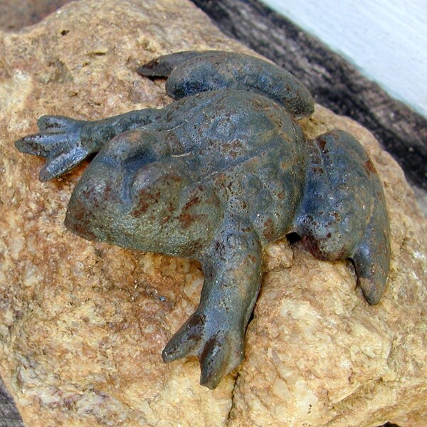 Garden Frog, Cast Iron Decor, Decorative, Great for the Garden or Gift