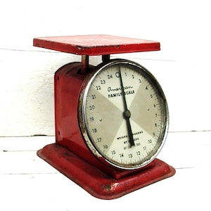 Americana Family Scale - Etsy