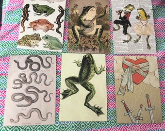 6 x Eclectic Postcards - Blank Reverse, Illustrated Card Set - Frog, Newt, Snake, Heart - Quirky Gothic Scrapbook Vintage Style Craftware