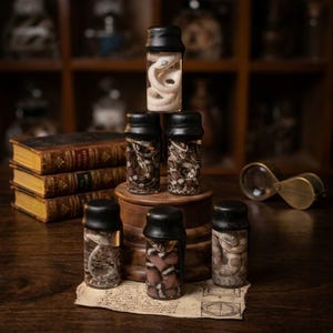 May include: A collection of six clear glass vials with black caps, each containing a coiled snake specimen. The vials are arranged in a pyramid formation on a wooden base, with one white snake, one pink and black snake, and four brown patterned snakes.