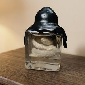 May include: A clear square glass bottle containing a coiled white snake figure submerged in liquid. The top of the bottle is covered in a thick, glossy black substance that drips down the sides, resembling melted wax or resin over the stopper.