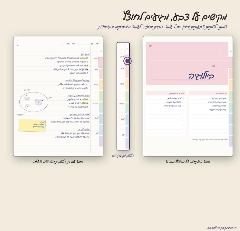 May include: A digital planner layout featuring two white pages with lined sections, a vertical navigation bar with colored tabs, and Hebrew text. The left page displays a biology diagram with a yellow sticky note, while the right page shows a header.
