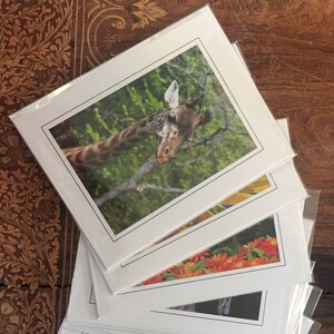 Carte Photo