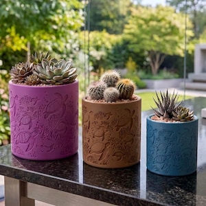 May include: Three cylindrical planters in purple, terracotta, and blue, each featuring an embossed pattern of sea turtles and coral. The purple planter holds succulents, the terracotta planter contains cacti, and the blue planter holds a Haworthia.
