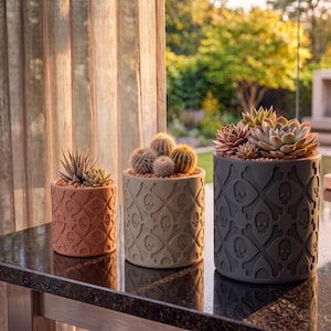 May include: Three cylindrical planters in terracotta, beige, and dark gray, each featuring an embossed skull and crossbones pattern. The planters hold various succulents and cacti, with the smallest on the left and the largest on the right.