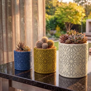May include: Three cylindrical planters with geometric patterns in blue, yellow, and cream. The blue planter holds a spiky succulent, the yellow one contains three small round cacti, and the cream planter features a cluster of rosette succulents.