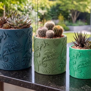 May include: Three cylindrical planters in dark blue, sage green, and bright green, each featuring embossed chameleon, orchid, and tropical leaf designs. The planters hold various succulents and cacti planted in small, light-colored pebbles.