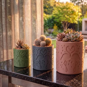 Puede incluir: Tres macetas cilíndricas en verde salvia, gris pizarra y rosa terracota, cada una con un patrón de flamencos grabado. La maceta verde contiene una suculenta puntiaguda, la gris tres cactus redondos y la rosa un grupo de suculentas.