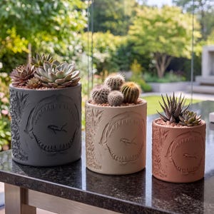 May include: Three cylindrical planters in dark gray, light beige, and terracotta, each featuring a relief design of an open shark mouth with a small scuba diver inside. The planters hold various succulents and cacti with small pebbles on top.