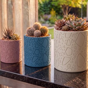 Terrazzo Chip Succulent Planter - Modern Speckled 3D Printed Pot, Minimalist Style, Desktop Garden