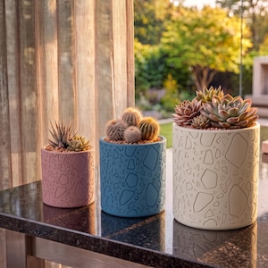 May include: Three cylindrical planters in pink, blue, and off-white, each featuring a debossed geometric terrazzo-style pattern. The pink planter holds a spiky succulent, the blue holds three small cacti, and the off-white holds a cluster of succulents.