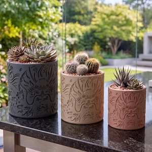 May include: Three cylindrical planters in dark gray, beige, and terracotta, each featuring a relief-carved dragon design. The planters hold various succulents and cacti, with the largest containing rosette succulents and the others holding small cacti.