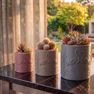 May include: Three cylindrical planters in pink, beige, and light gray, each featuring an embossed flamingo and reed design. The planters hold various succulents and cacti, including a spiky zebra plant and several round, prickly cacti.