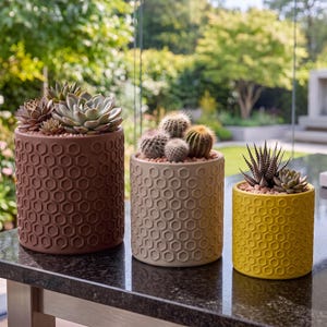 May include: Three cylindrical planters with a raised hexagonal honeycomb pattern. The largest is dark brown with succulents, the medium is beige with small cacti, and the smallest is bright yellow with a striped succulent and a small rosette succulent.
