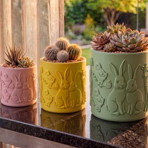 May include: Three cylindrical planters in light pink, yellow, and sage green, each featuring embossed designs of rabbits, chicks, and giraffes. The pink planter holds a spiky succulent, the yellow one holds cacti, and the green one holds succulents.
