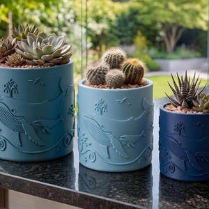 May include: Three cylindrical ceramic planters in varying shades of blue, each featuring an embossed design of whales, waves, and birds. The planters contain various succulents and cacti, including a large rosette succulent and round cacti.