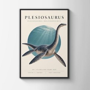 May include: A framed poster featuring a Plesiosaurus illustration centered over a blue circular background. The text reads PLESIOSAURUS, PLESIOSAURUS DOLICHODEIRUS, 201-174 MILLION YEARS AGO, LENGTH 3-5 METRES, and DIET CARNIVORE in black font.
