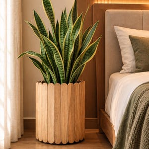 Op de afbeelding: Een hoge sansevieria met gevarieerde groene en gele bladeren in een cilindrische plantenbak gemaakt van verticale, lichtgekleurde houten latten met afgeronde bovenranden, wat zorgt voor een gestructureerd hekwerk.
