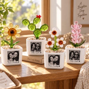 May include: Four square white ceramic planters containing glass plants. Each planter features a black and white photograph of two people and text. The glass plants include a yellow flower, a green cactus, a white flower, and a pink heart stack.