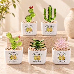 May include: Five glass plants in white square ceramic pots filled with small stones. Each pot features a graphic of two pears with the text 4 YEARS LATER & WE'RE STILL A GREAT PEAR, BRANDON & SOPHIA, 10.15.2026. The plants include cacti and succulents.